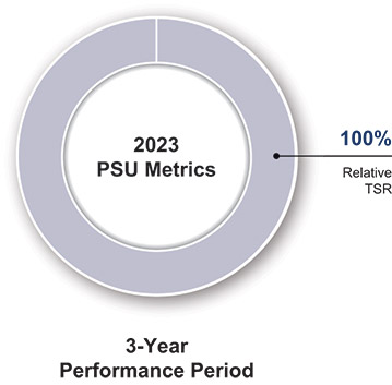 [MISSING IMAGE: pc_psumetrics-pn.jpg]